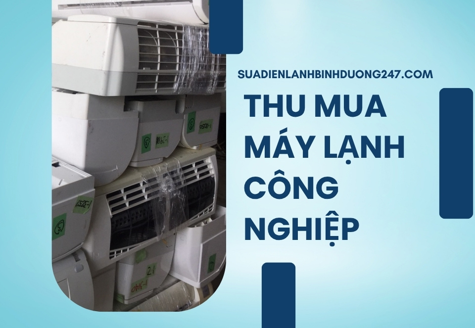 uy-thac-xuat-nhap-khau